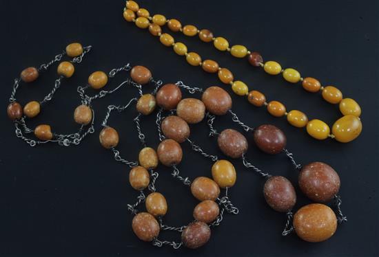 Two single strand amber bead necklaces, longest 56in.
